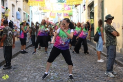 terca_roana (280)